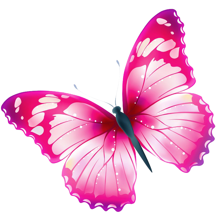 Летающая розовая бабочка PNG изображения прозрачный фон