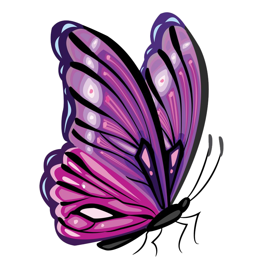 Flying Pink Butterfly PNG Pic