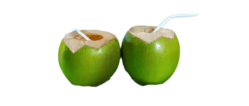 Свежее зеленое кокосовое изображение PNG