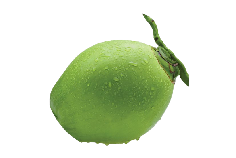 Свежий зеленый кокосовый PNG прозрачный образ