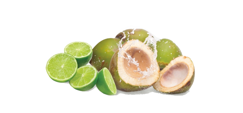 Frisches grünes Kokosnuss-transparentes Bild