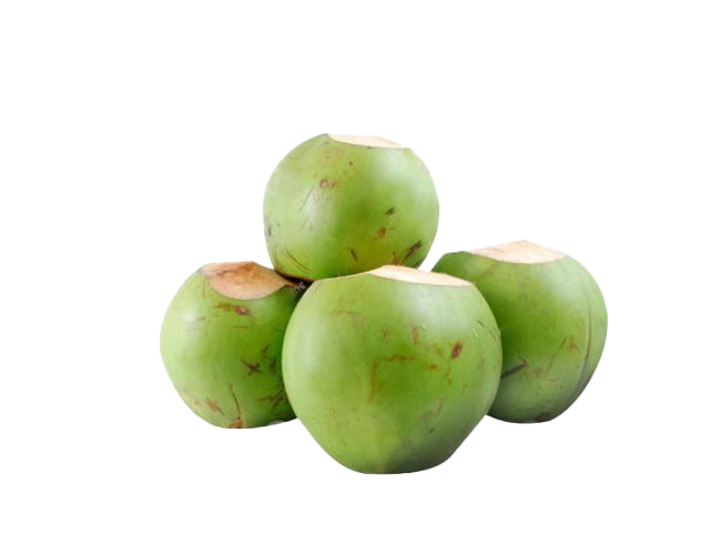 Зеленое кокосовое PNG фоновое изображение