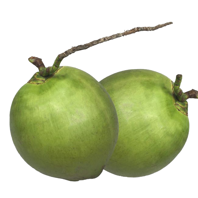 Green Coconut PNG Download Image