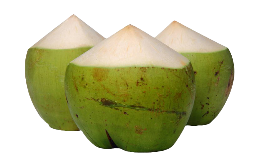 Groene kokosnoot PNG Beeld Transparante achtergrond
