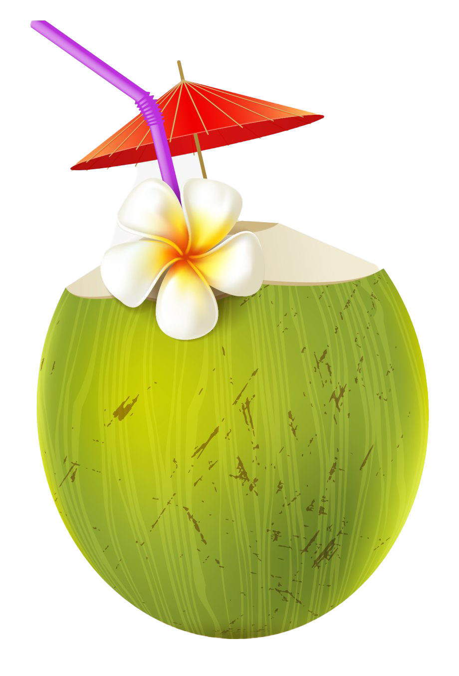 Image verte de coco de coco