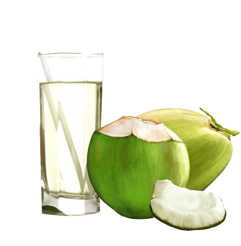Зеленый кокос PNG Pic