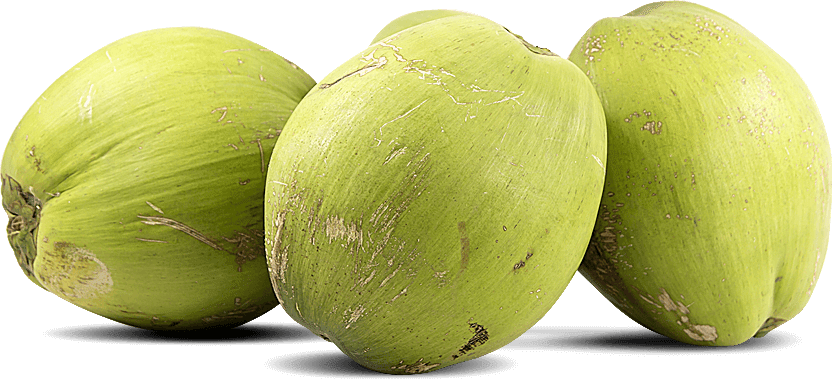 Groene kokosnoot Transparante achtergrond PNG