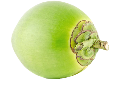 Grünes Kokosnuss-transparentes Bild