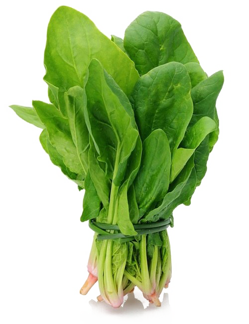 Green Spinach Download Transparent PNG Image