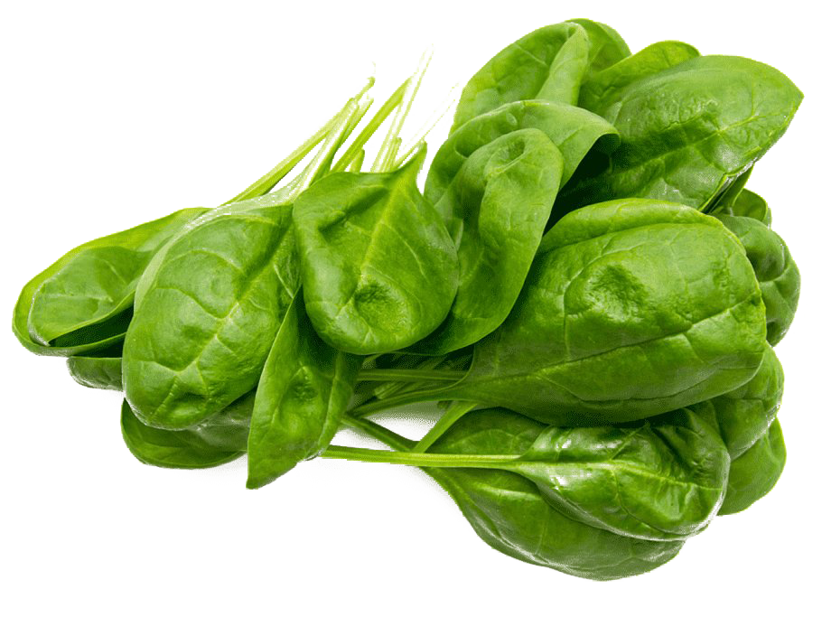 Green Spinach Free PNG Image