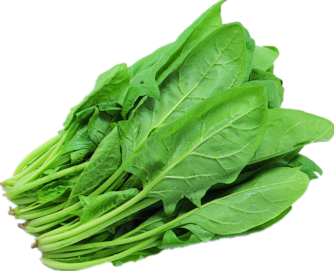 Green Spinach PNG Background Image