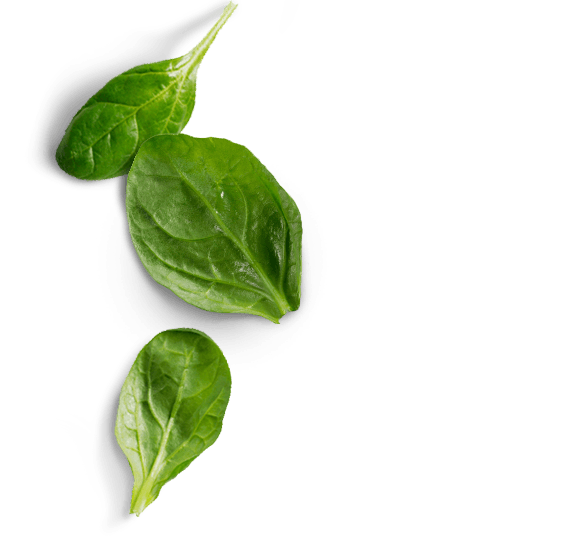 Green Spinach PNG Download Image
