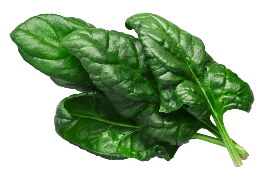 Green Spinach PNG Image