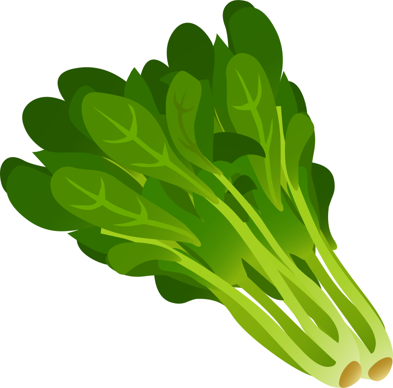 Green Spinach PNG Photo