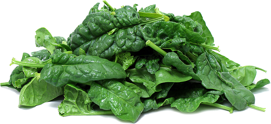 Green Spinach PNG Picture