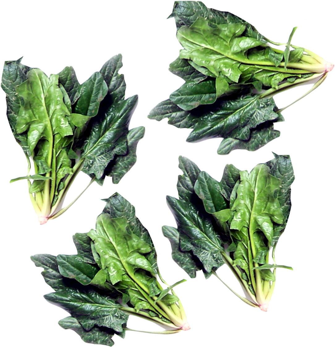Green Spinach PNG Transparent Image