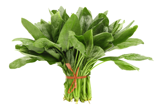Green Spinach Transparent Background PNG