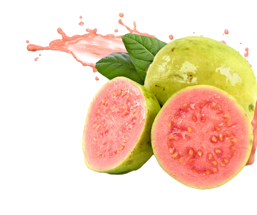 Guava Splash PNG-transparentes Bild