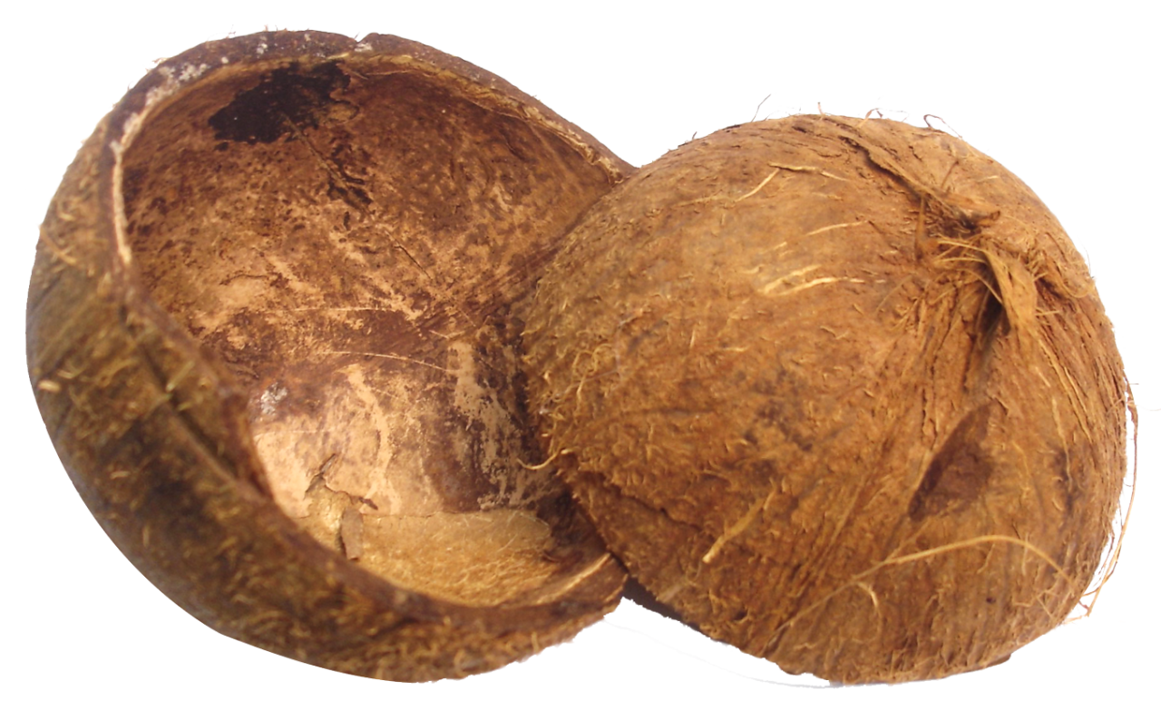 Половина кокоса PNG фоновое изображение