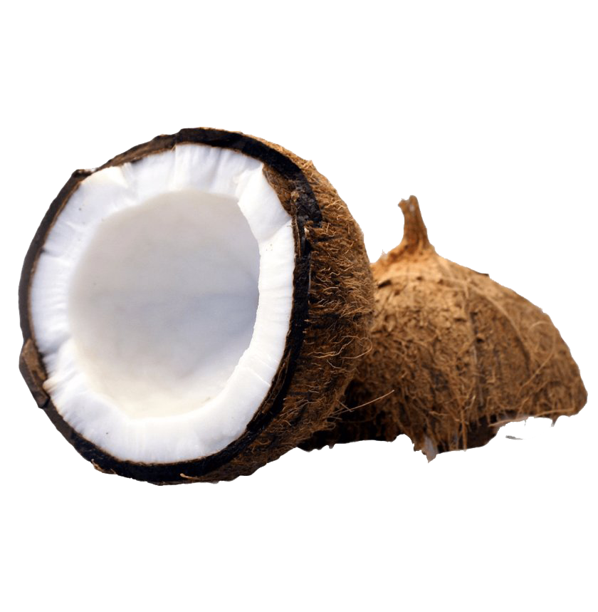 Половина кокоса PNG скачать бесплатно