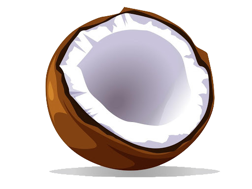 Половина кокоса прозрачный фон PNG