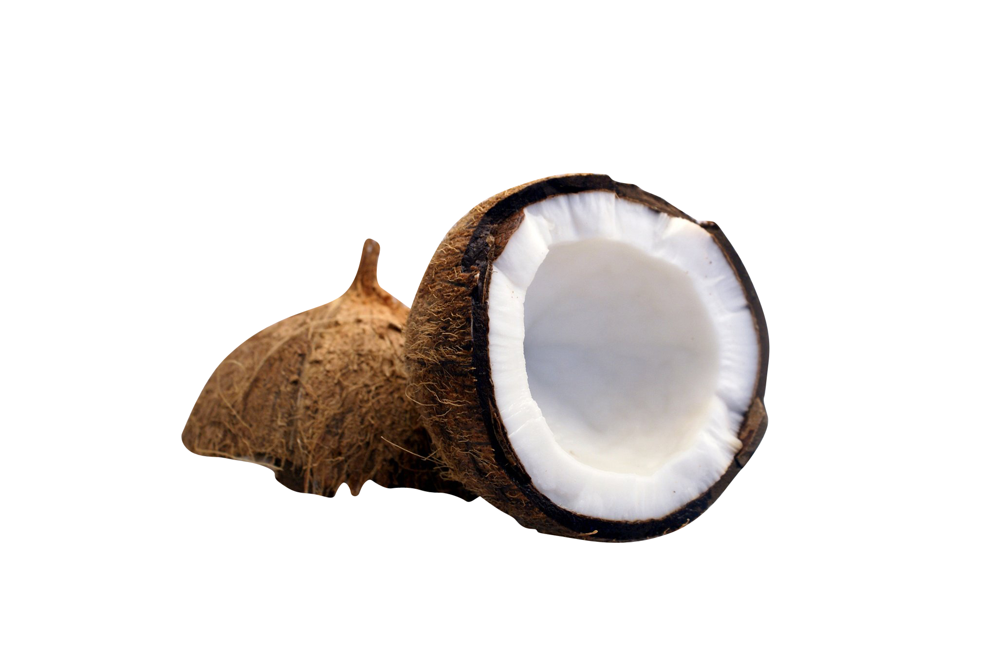 Half gesneden kokosnoot PNG Foto