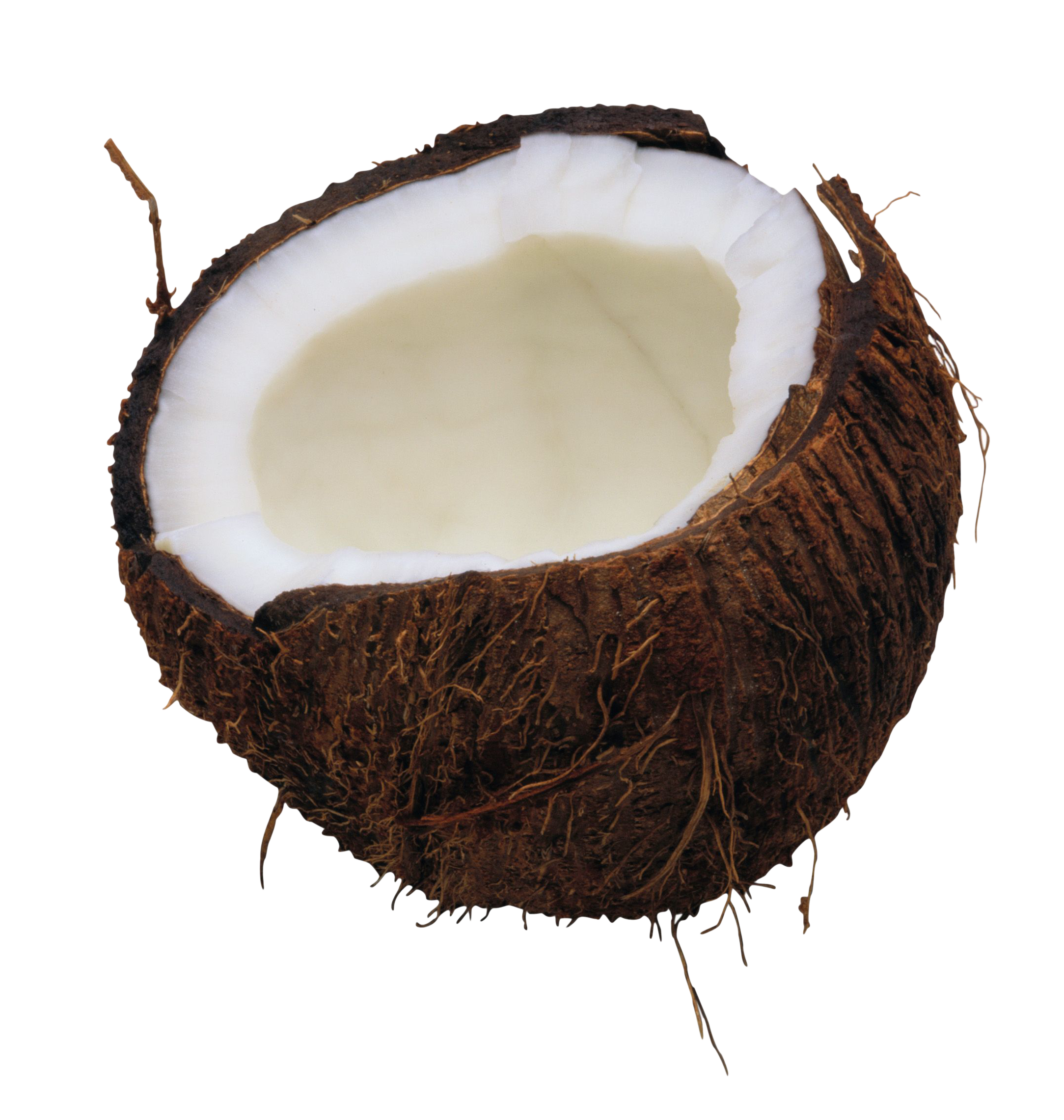 Half gesneden kokosnoot PNG Transparant Beeld