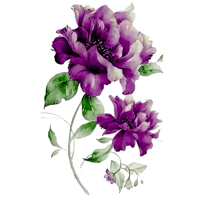 Lilac-Flower-PNG-Image-Transparent-Backg