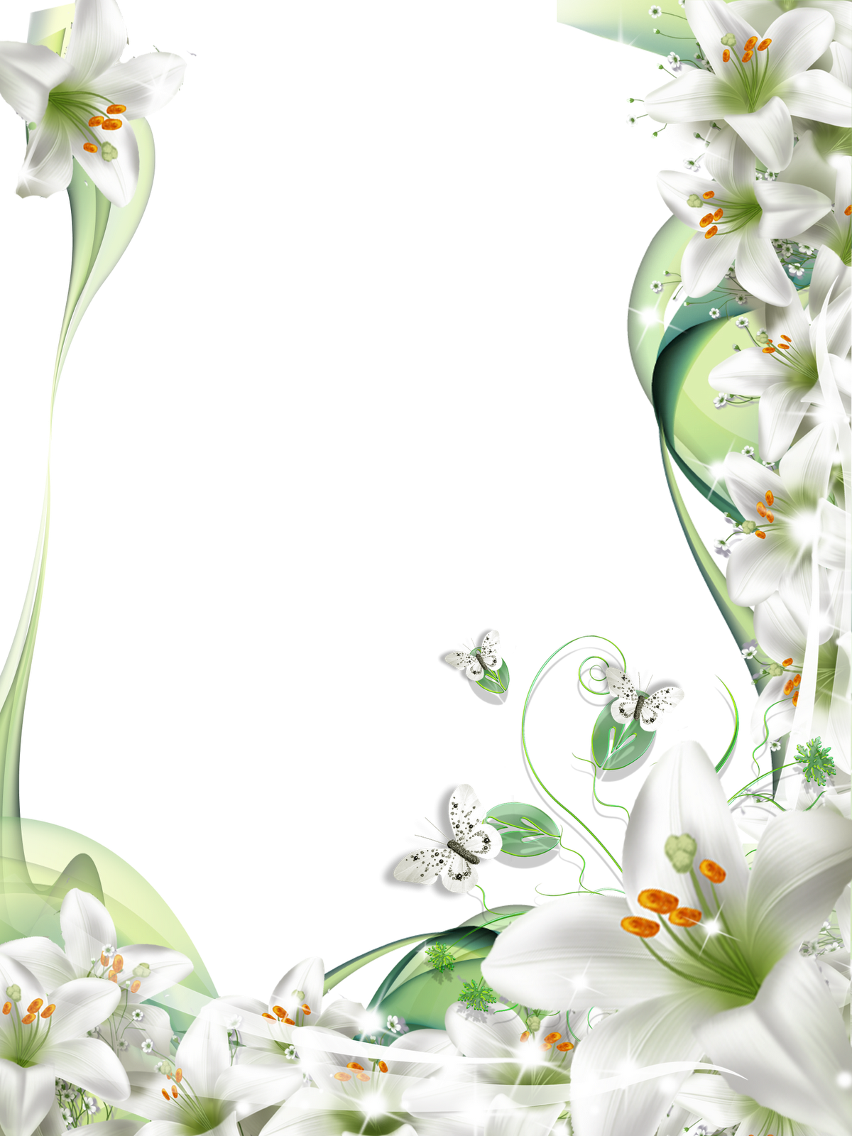 Lilium Flower Border PNG Transparent Image