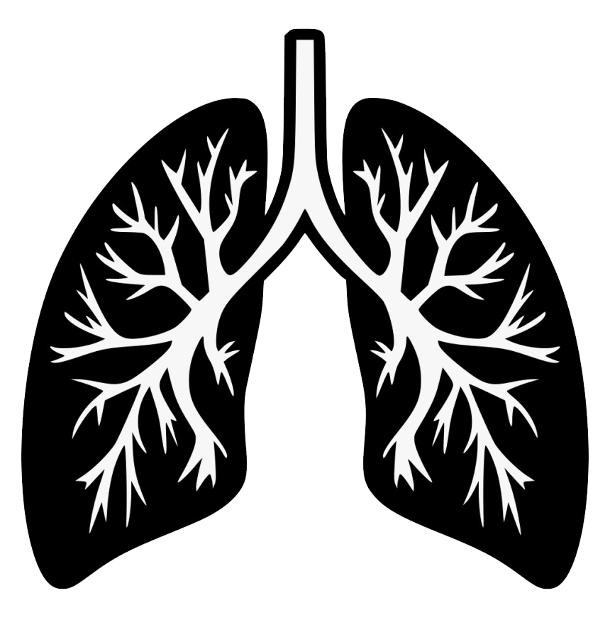 Lungs Free PNG Image