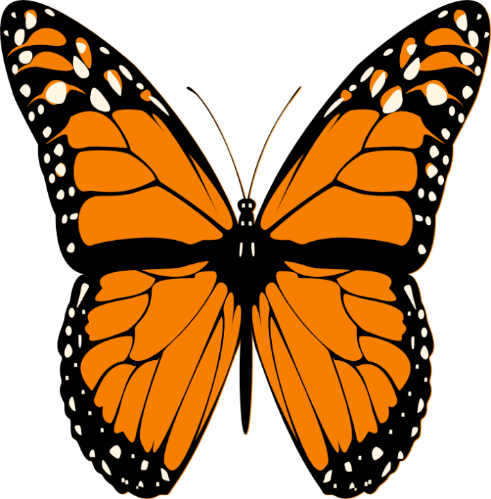 Oranje Geanimeerde Butterfly PNG-Afbeelding