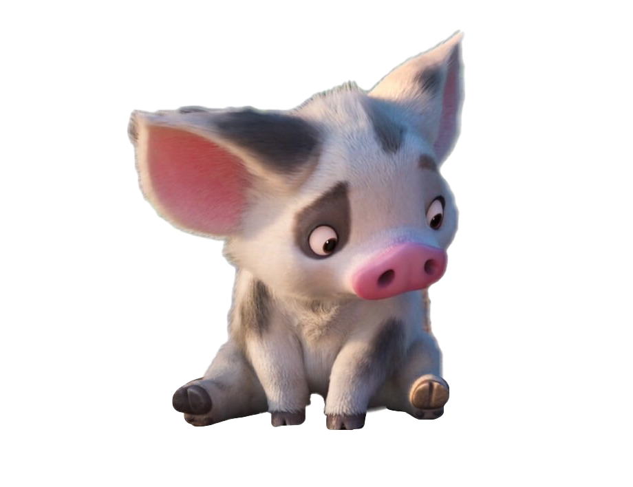 돼지 PNG 투명 이미지