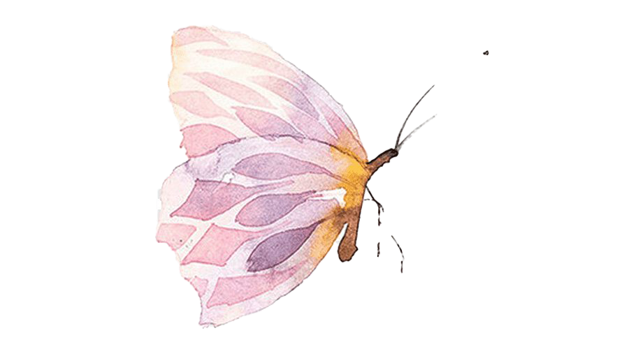 Papillon rose PNG Télécharger limage