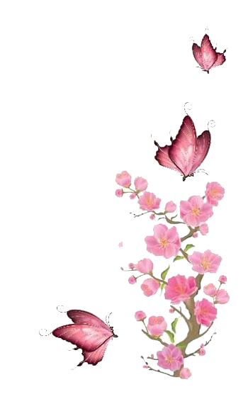 Papillon rose PNG Téléchargement GRATUIT