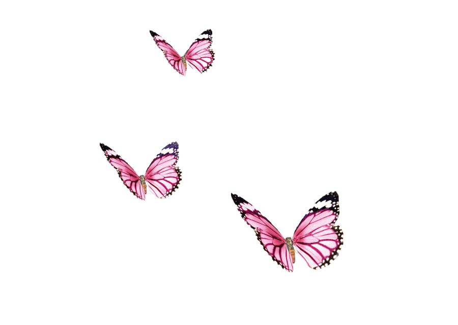 Pic a farfalla rosa PNG