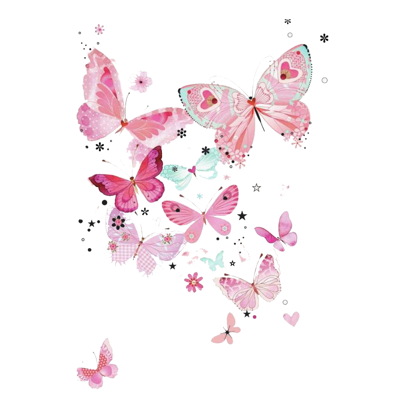 핑크 나비 PNG 투명 이미지