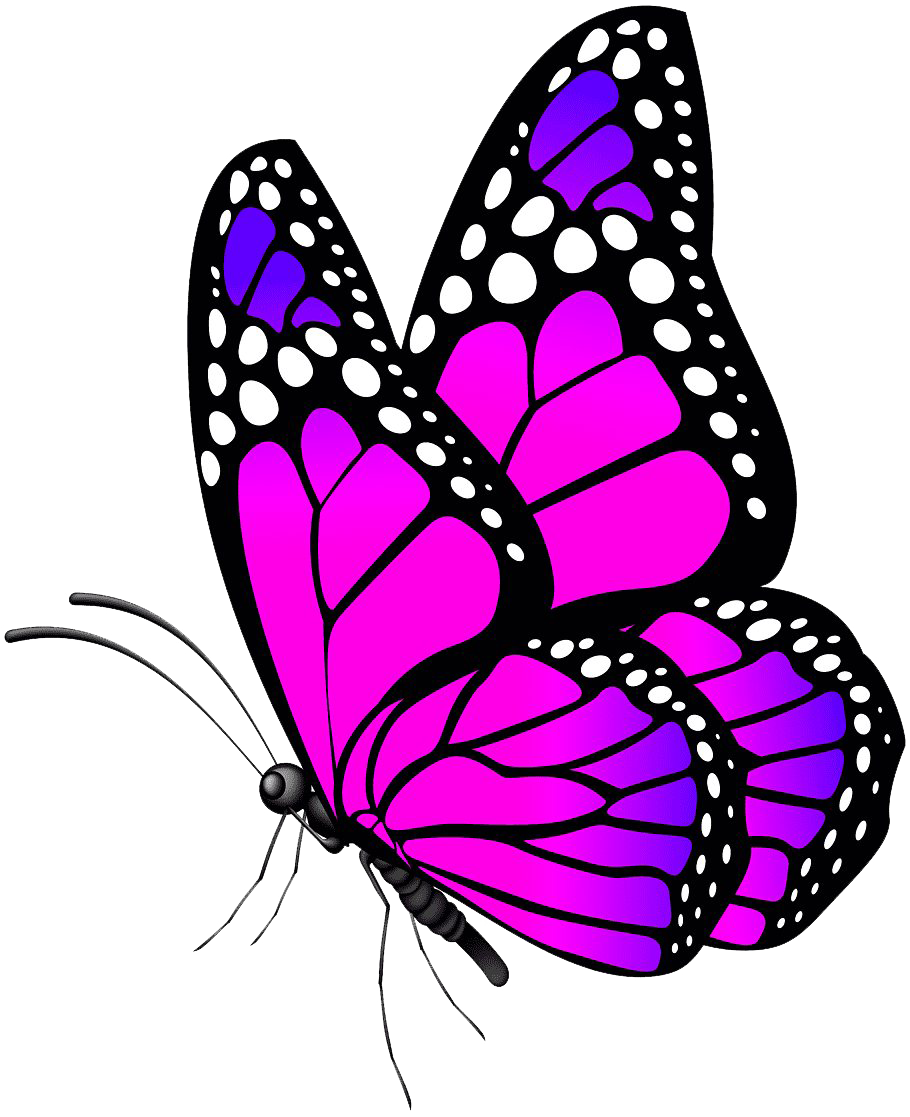 Roze vlinder Transparante achtergrond PNG