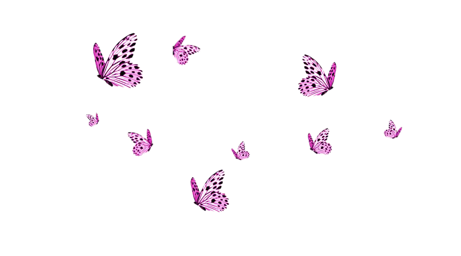 Roze vlinder Transparante Afbeeldingen