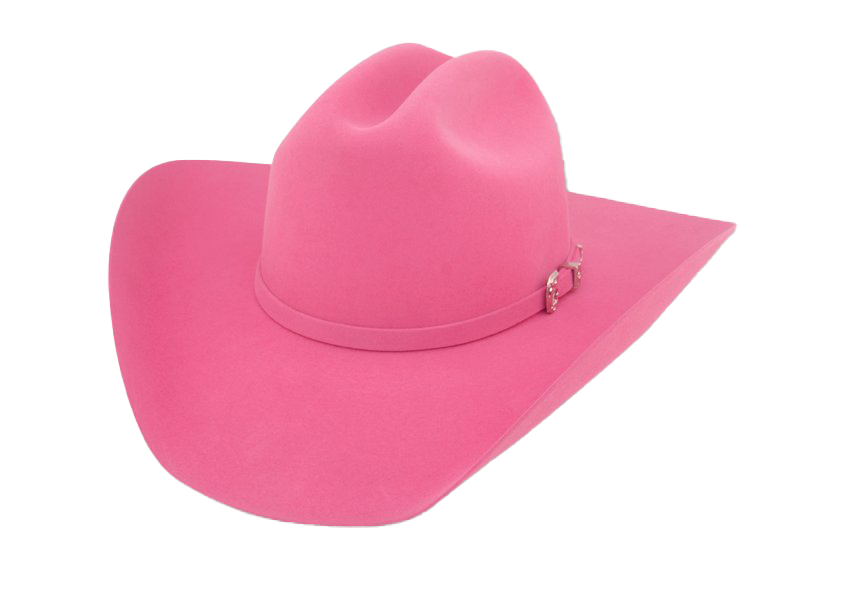 قبعة رعاة البقر الوردي صورة PNG مجانية
