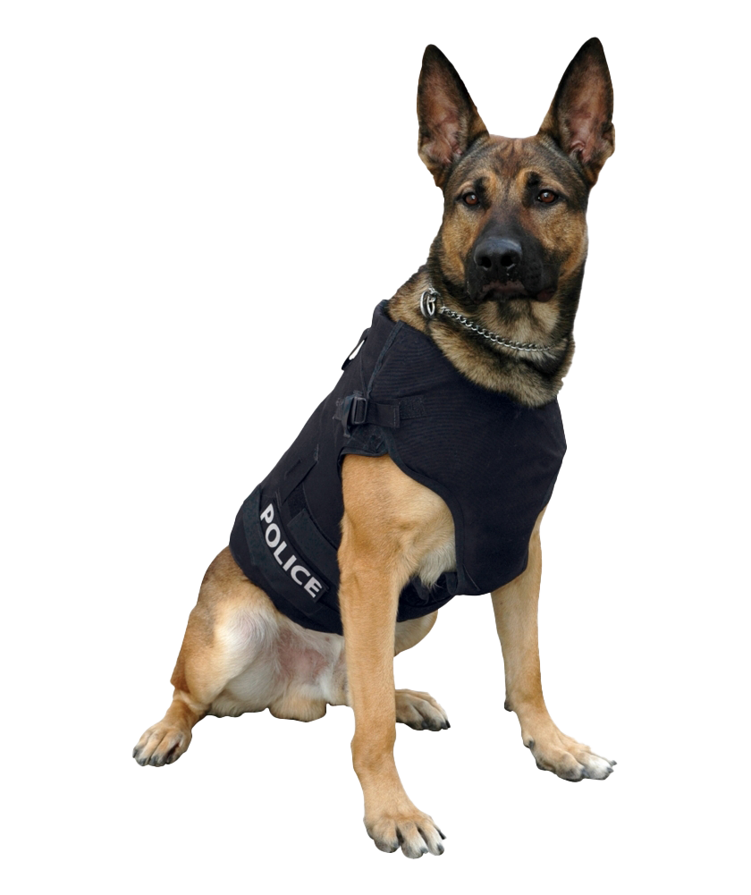 Police German Shepherd Dog PNG Image