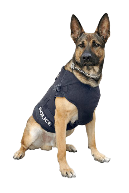 Imagem transparente do cão de pastor alemão da polícia