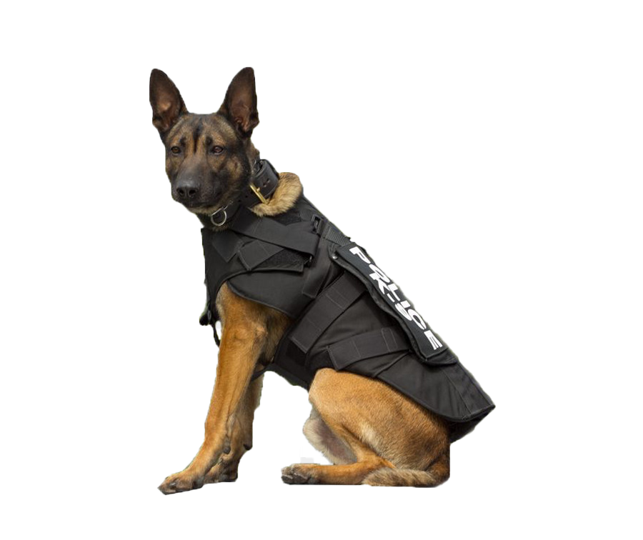 Police German Shepherd Dog Transparent Images