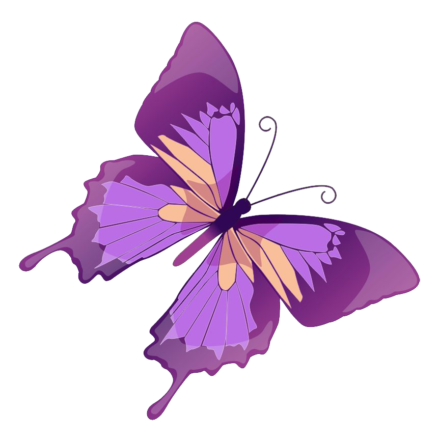 Rainbow Butterfly Free PNG Image