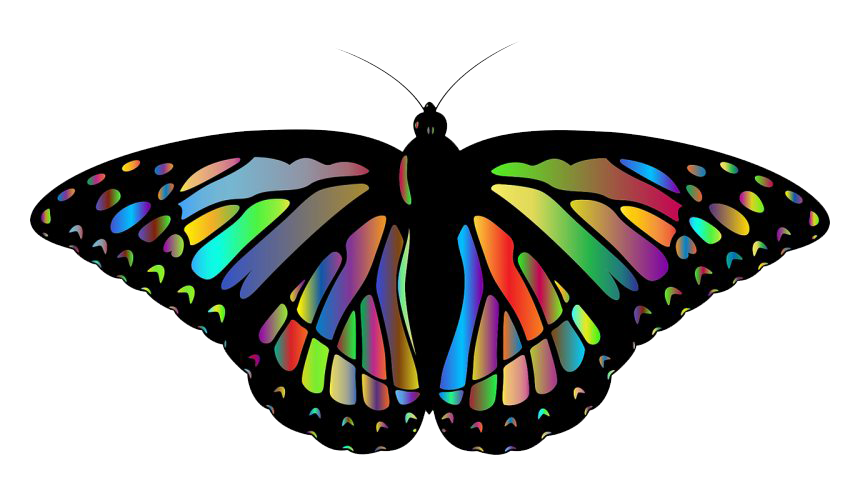 Rainbow Butterfly PNG Download Image
