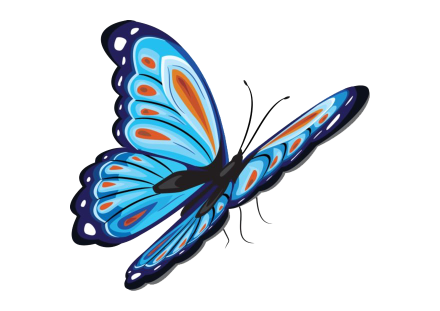 Rainbow Butterfly PNG Gratis Download