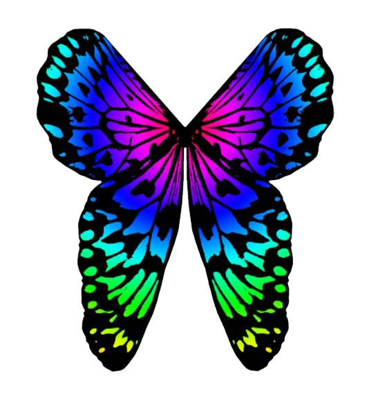 Fondo de la imagen del PNG de la mariposa del arco iris
