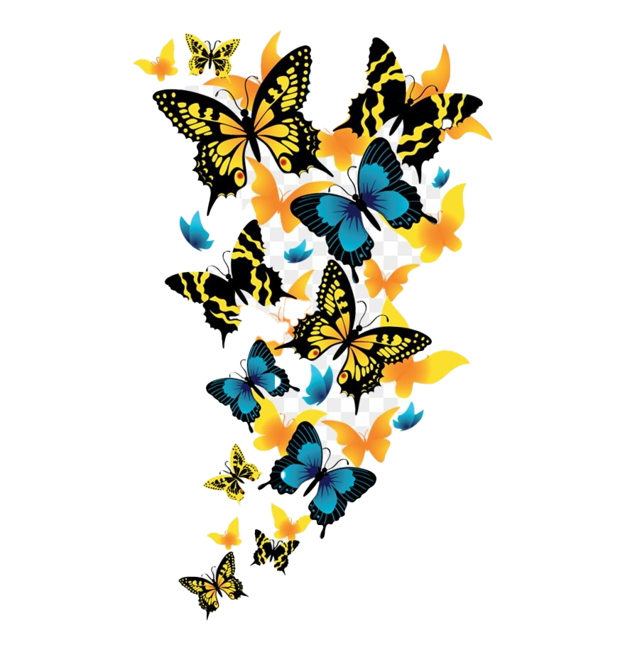 Regenbogen-Schmetterling PNG-Bild