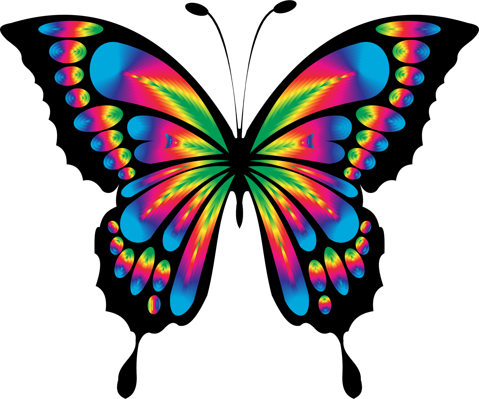 Радужная бабочка PNG картина