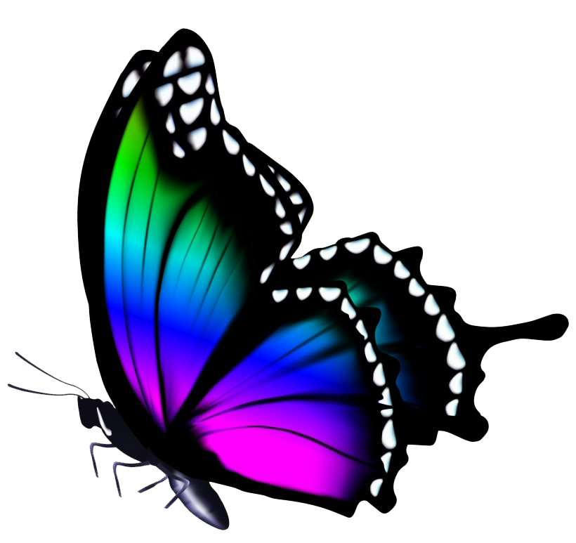 무지개 빛나는 나비 PNG 이미지 배경