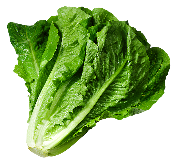 Raw Spinach Download Transparent PNG Image